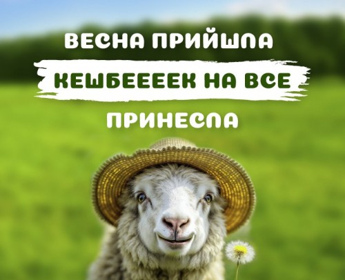 КЭШБЕК на все