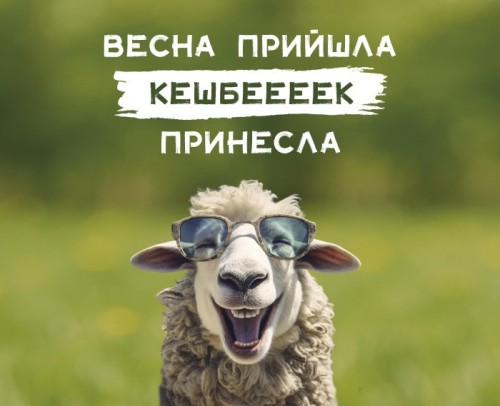 КЕШБЕК 10%