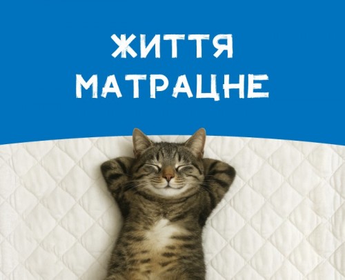 КЭШБЕК 15%